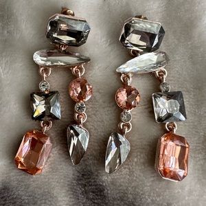 Jewel Dangly Earrings